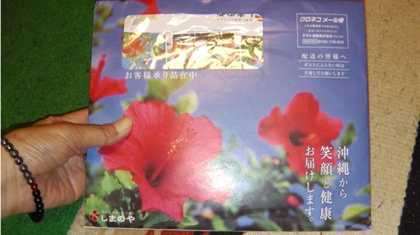 ��������ݐ|�̕���p���Ď��͊댯�Ȃ́I�H